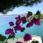 Vasiliki's Front And Pool Villa