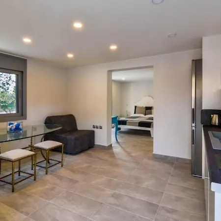 Vasiliki's Front And Pool * ポルト・ヘリ