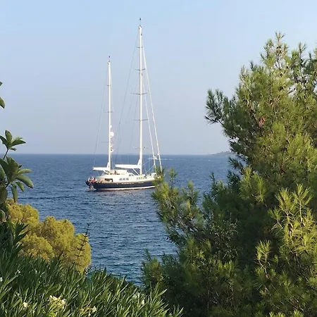 ヴィラ Vasiliki's Front And Pool ポルト・ヘリ