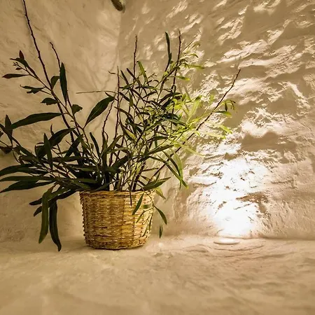 Vasiliki's Front And Pool ポルト・ヘリ