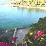 Vasiliki's Front And Pool פורטו הלי