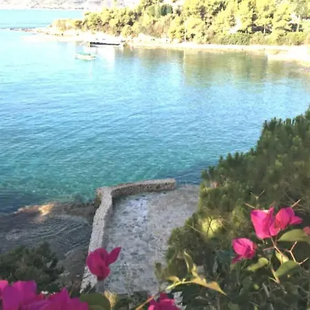 Vasiliki's Front And Pool Porto Cheli
