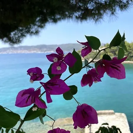 Vasiliki's Front And Pool Villa