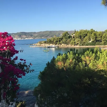 Willa Vasiliki's Front And Pool