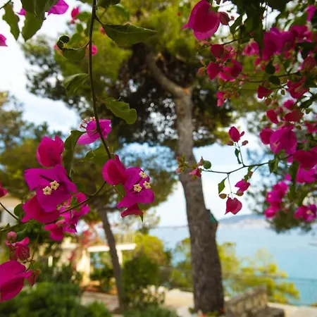 Villa Vasiliki's Front And Pool Porto Heli