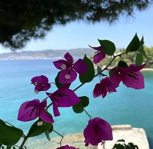 Vasiliki's Front And Pool Vila